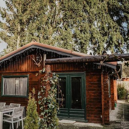Cosy And Romantic Forest House Met Sauna Op De Veluwe Putten Extérieur photo